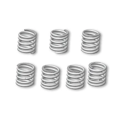 Kit 6 molle di ricambio Malossi (piccole) per gruppo 5217808