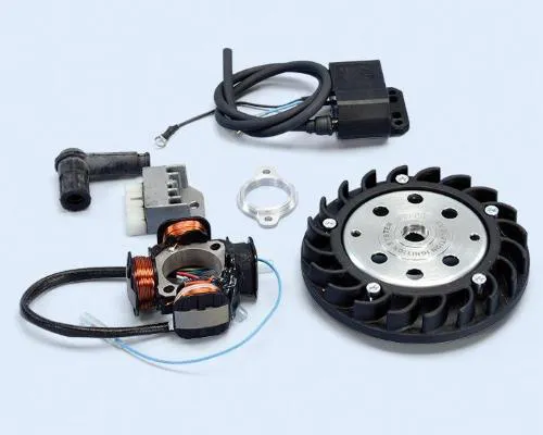 Accensione elettronica Polini 171.0556 a 12 V per Piaggio Ciao, Si, Bravo, Boxer, CBA, Eco e Grillo. GTIN 8054705122798.