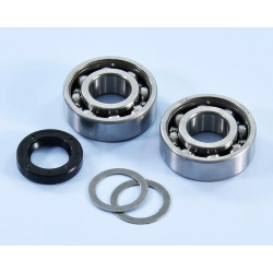 Kit Polini per revisione albero motore Piaggio Ciao e Si: due cuscinetti C4 15x35x11 mm e paraolio FKM 15x24x5 mm.