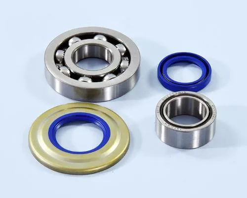 Kit Polini 282.0007 con cuscinetti 25x38x15 e 25x62x12 e paraoli FKM 24x35x6 e 31x62x5,8 per Vespa PX, PE e Cosa compatibili.