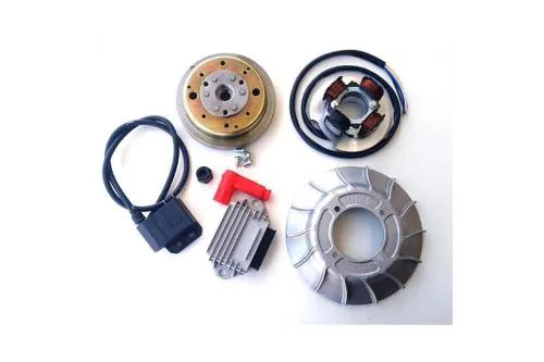Accensione VMC 001015-V14F cono 20: anticipo variabile di 8 gradi, 12 V 90 W, volano rivettato e ventola a 14 alette per Vespa Smallframe.