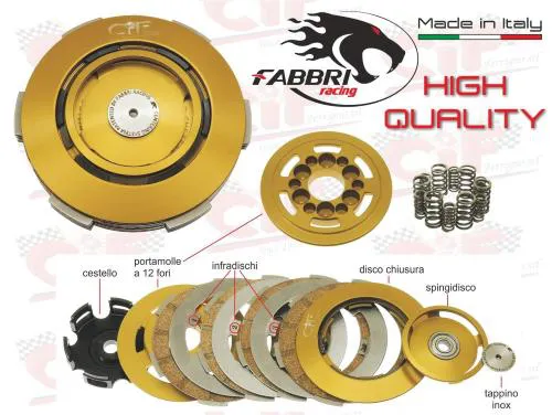 Gruppo frizione completa FABBRI R12