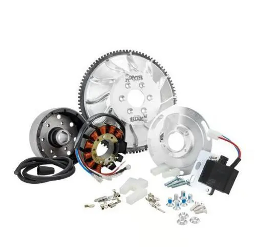 Accensione SIP Performance by VAPE Road 51011RD0 Elestart, 12 V AC 110 W, anticipo fisso, cono 20 mm e volano CNC da circa 1.660 g.