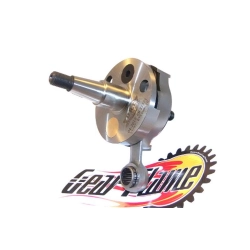 Albero motore DRT anticipato Corsa 53, cono 20 - sede cusc. Ø25 - Biella interasse 100.00mm
